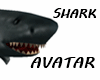SHARK AVI
