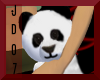[JD07] Panda Bear