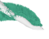 Green Boa