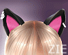 Sweet Cat Noir Ears