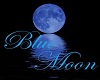 Blue Moon Club2