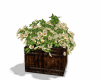 rustic flower box