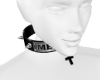 Meg Collar