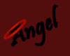[Angel]Kitty Garden sign