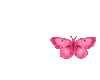 Sm pink butterfly