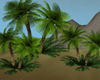 [kyh]Sweet Beach_palm