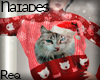 N| Xmas Kitty Sweater