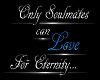 Soulmates Eternity