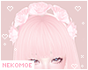 [NEKO] Rose Crown Pinku