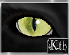 Kth Cat Eyes Rgp