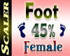 Foot Resizer 45%