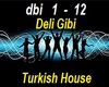 Turkish House Music