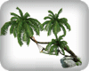 Coconut Swing