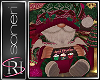 Christmas  Gnome B