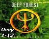deep fores-sweet lullaby