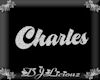 DJLFrames-Charles Slv
