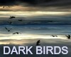 T- Dark Birds