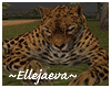 African Leopard Animated