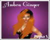 ♥PS♥ Amrba Ginger