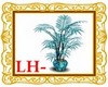 LH - Blue Club Plant
