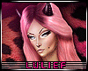 -LL- LuLief poster