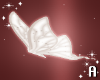 A! Flying moth pet