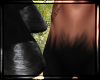 Black Hoof Bottoms