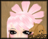 [Pup] Clover Blush