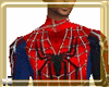 *v5 Custome Spiderman