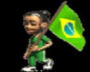 BRASIL FLAG