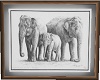 ASIAN ELEPHANT PICTURE