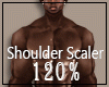 Shoulder Scaler 120%