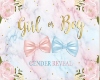 Gender reveal twin boys