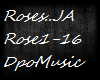 JA Roses 'DPOMusic'