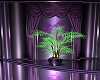 Purple Love Palm Plant