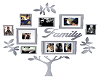 Rider Family Tree