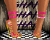 *Wild Zone Heelz*