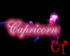[CT]Capricorn Pink