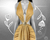 (BR) Gold Dress CT
