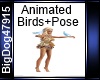 [BD] Animated Birds+Pose