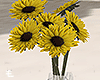 Natural sunflowers
