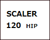  SCALER 120 HIP