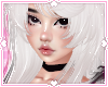 ❀. kayda | ghost