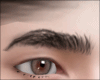 Eyebows chocoo