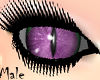*D Purple Cat Eyes MALE