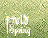 Spring_Field