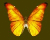 Butterflies Yellow
