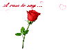 A Rose to Say I Love You