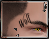= Wolf Brow Tattoo