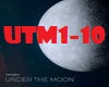 nanebo-Under the Moon